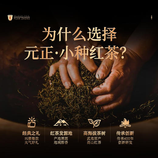 元正 茶票小种礼盒装 特级武夷山小种红茶自饮口粮茶叶送礼长辈200g 商品图4