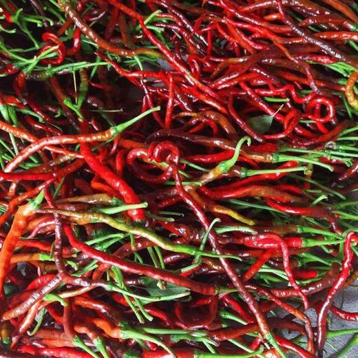 浏阳鸡肠子红辣椒，1斤 商品图2