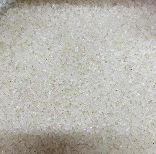 秋田香町 珍珠米 10kg【LY】 商品图1