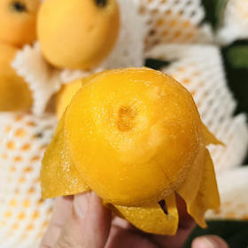 五角星枇杷 1件/12串约5斤  圆润清香