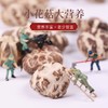 【元旦好礼】圣臻小花菇250g/木耳250g（全国包邮，部分地区除外） 商品缩略图1