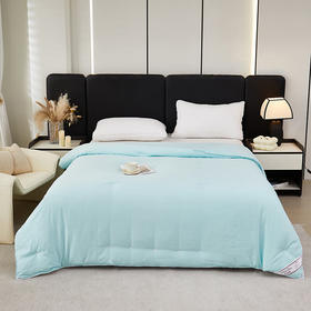 彼加曼 BGM-B2460 浮华巴黎双工艺蚕丝被【LXGWCJ5.0】