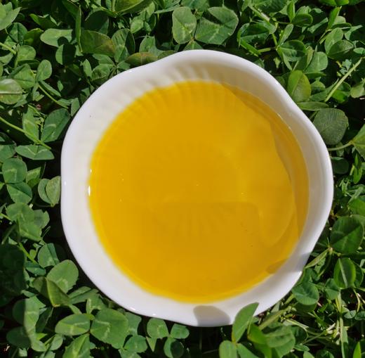 高原菜籽油·哈姆谷生态农场 商品图0