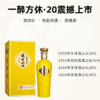 【热销700箱+】鸡公山浓香型白酒52度一醉方休20整箱500ml*6瓶 商品缩略图1