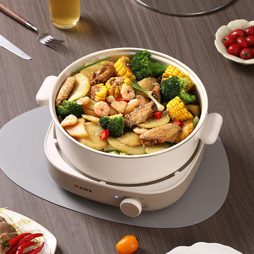 尚朋堂分体式涮火锅_SPT-HG4013A-M32 伊斯顿棕 商品图2