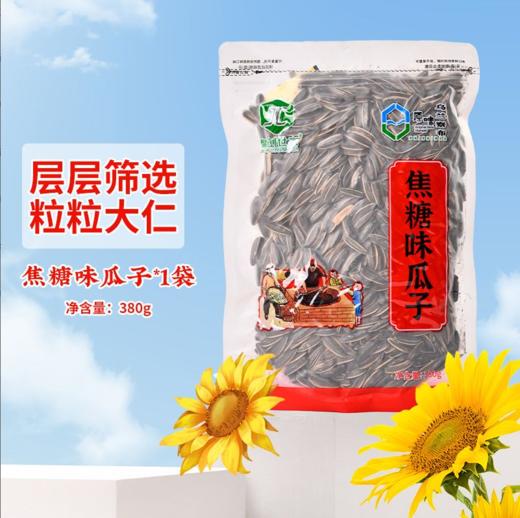 聚创世家原味瓜子-380g 商品图6