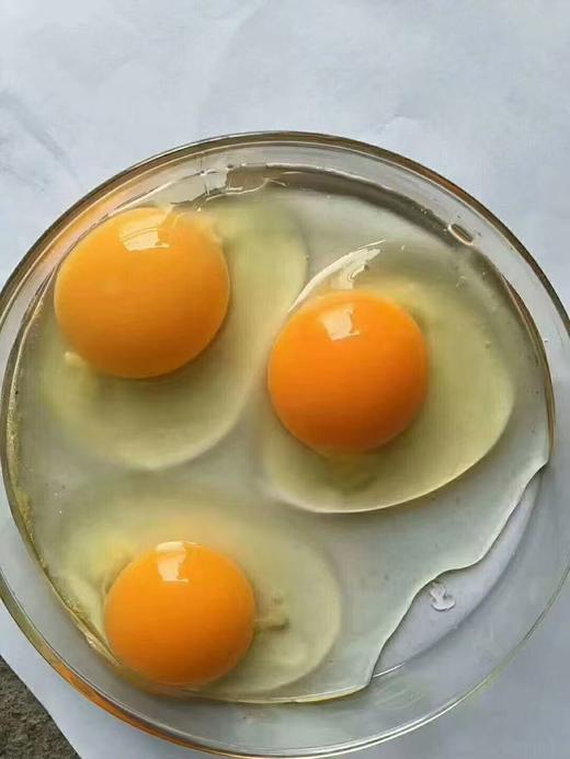 【农场直邮】散养鸡蛋60枚（黄山） 商品图0