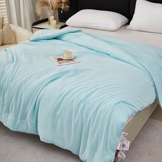 彼加曼 BGM-B2460 浮华巴黎双工艺蚕丝被【LXGWCJ5.0】 商品图3