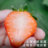 饱记白鹤红颜草莓350g*3盒装新鲜香甜可口果香浓郁礼盒水果 商品缩略图0