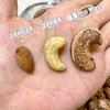 【越南A170级盐焗大腰果】柔软质地，丰富油脂，吃起来更滋润！不仅个头大口感酥脆，还越嚼越香！好吃不上火！【TJ-J】 商品缩略图3
