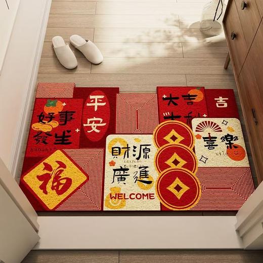 入户门地垫 商品图1