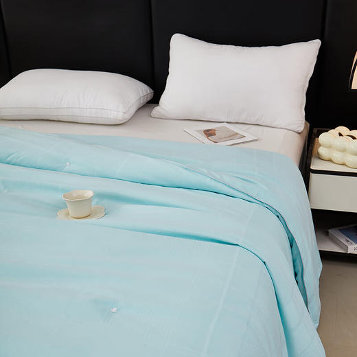 彼加曼 BGM-B2460 浮华巴黎双工艺蚕丝被【LXGWCJ5.0】 商品图4