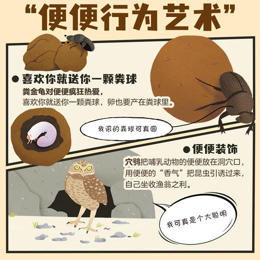 噢！便便   科普绘本 精装硬壳 商品图2