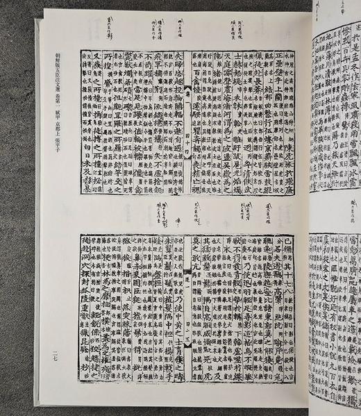 日本东京大学东洋文化研究所藏《朝鲜版五臣注文选》，精装，16开，全2册，[梁]萧统选编，[唐] 吕延济、刘良、张铣、吕向、李周翰注， 凤凰出版社2019年一版一印，定价400，售价108元。 商品图4