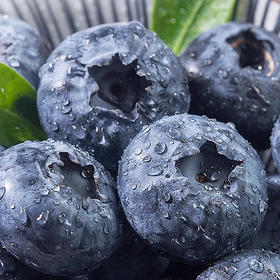 【网红爆款 小懒杯蓝莓鲜果】浆果贵族，爽脆香甜，满满花青素，护眼养颜！