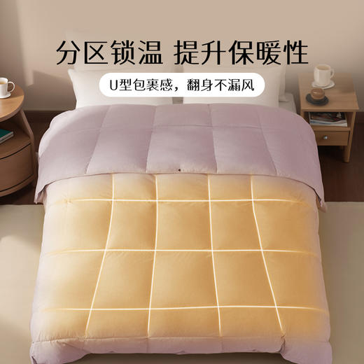 雅芳婷蒂克白鹅绒被蓄热保暖冬季被子被芯鹅绒冬被分区锁温羽绒被 商品图8