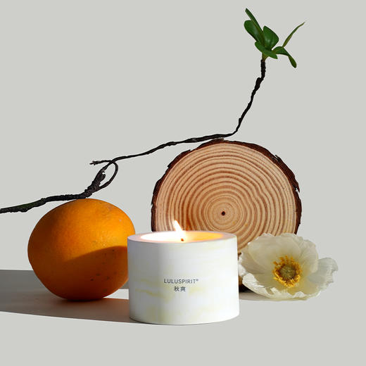 璐璐馨时光说·春夏秋冬系香薰蜡烛70g*2 商品图5