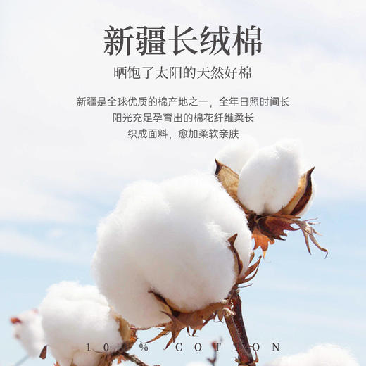 雅芳婷80S纯色新疆长绒棉亲肤床上四件套被套枕套床笠四件套 商品图3