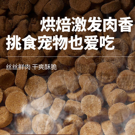 伯纳天纯低温烘焙猫粮全价鲜肉美毛全价猫粮微藻焕肤鸡肉三文鱼2kg 商品图1