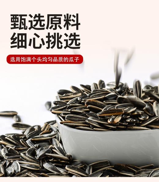 聚创世家青花瓜子-380g 商品图3