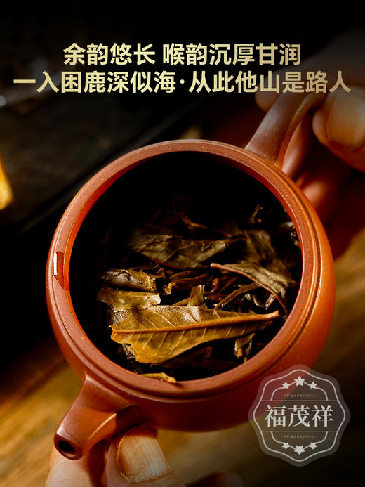 【飞天茶君】10年陈 现存困鹿山年份天花板 2014年春茶云南普洱茶区困鹿山普洱茶古树纯料生茶饼357g 商品图3