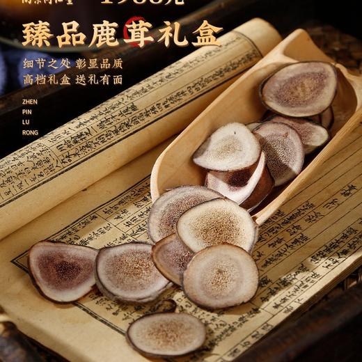 南京同仁堂六合乾坤 鹿茸礼盒25g 高品质送领导送客户 商品图2