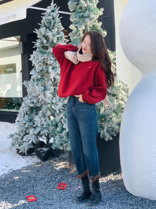 【百图lulu定制】【彩蛇加绒卫衣】刺绣吉祥彩蛇  加银狐绒 微宽松 天丝棉卫衣 商品图5