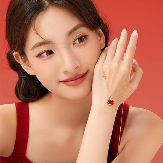 【红火贺岁 巳方有财 鸿运连连】六鑫珠宝 本命年蛇年红运灵蛇红玛瑙项银链 商品图6