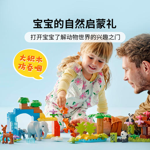 乐高 LEGO 三合一野生动物集合LEGC10446 商品图1