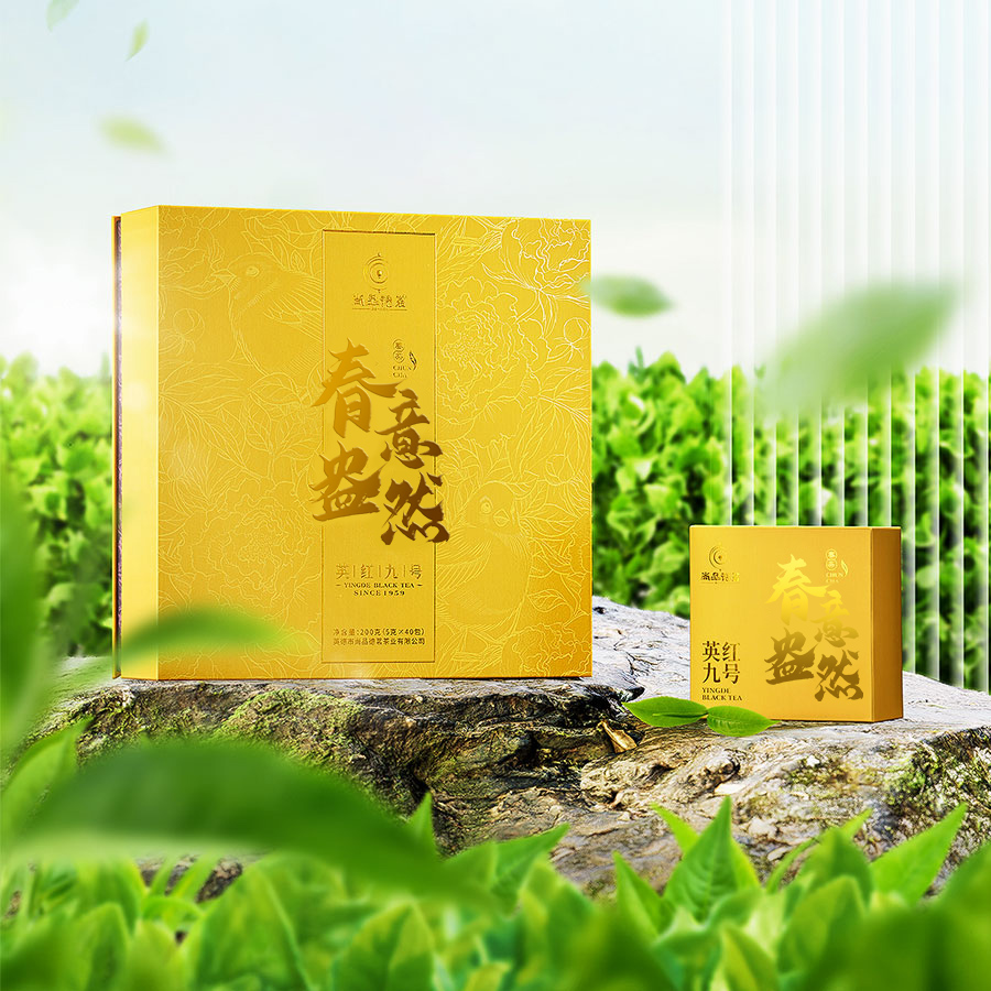 英德红茶（英红九号-春意盎然）