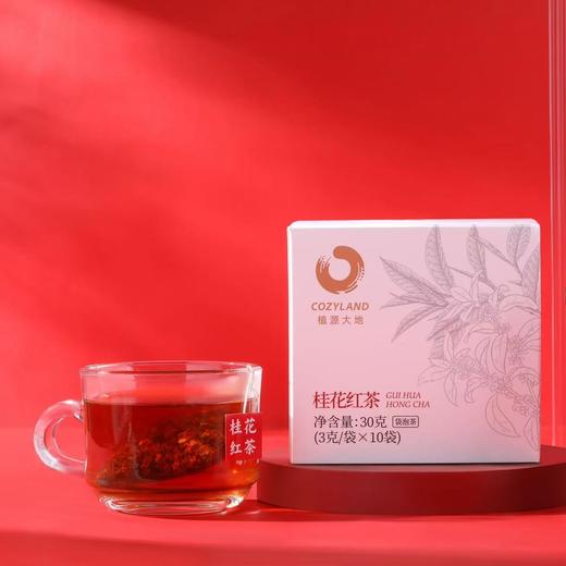 桂花红茶 一盏好茶 便携 商品图3