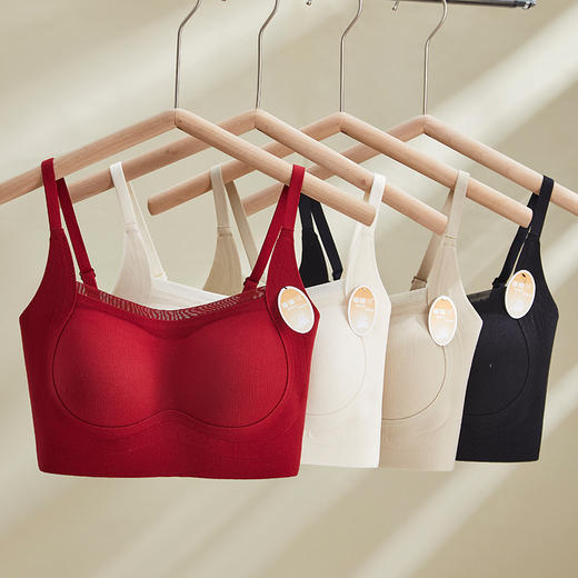 绒冬磨毛保暖提拉内衣固定杯Bra纯色百搭无痕抹胸内搭上衣HLY 商品图0