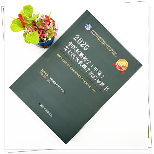 2025年中医肛肠科学（中级）专业技术资格考试指导用书 专业代码327 国家中医药管理局专业技术资格考试专家委员会编 中医药出版社 商品图1