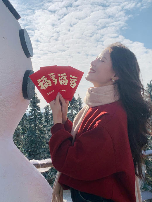 【百图lulu定制】【彩蛇加绒卫衣】刺绣吉祥彩蛇  加银狐绒 微宽松 天丝棉卫衣 商品图12