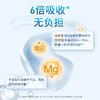【德国双心】镁+维生素B族营养片  成人复合维生素b族矿物质综合镁补充剂30粒 商品缩略图3