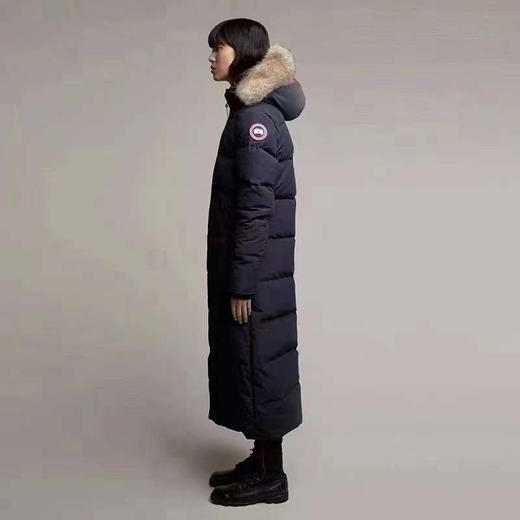 大鹅。自己备注号码颜色。足够长 商品图4