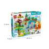 乐高 LEGO 三合一野生动物集合LEGC10446 商品缩略图8