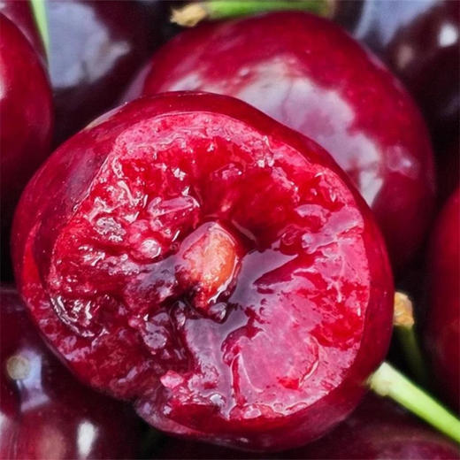 【智利桑提娜黑车】智利空运进口高端品质车厘子 红色蜜糖果汁炸弹 实现车厘子自由 商品图1
