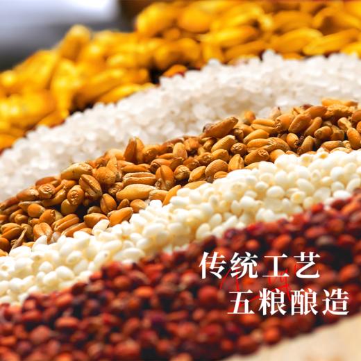 一价到底 【五粮液尊酒·蛇年限定礼盒】五粮液集团匠心酿造，千年老窖，滴滴浓香，入口醇厚！ 商品图1