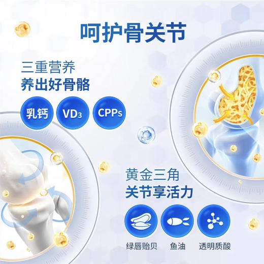 伯纳天纯狗粮小型犬高龄8岁以上老年犬专用主粮博美比熊小型犬老年犬专用 商品图2