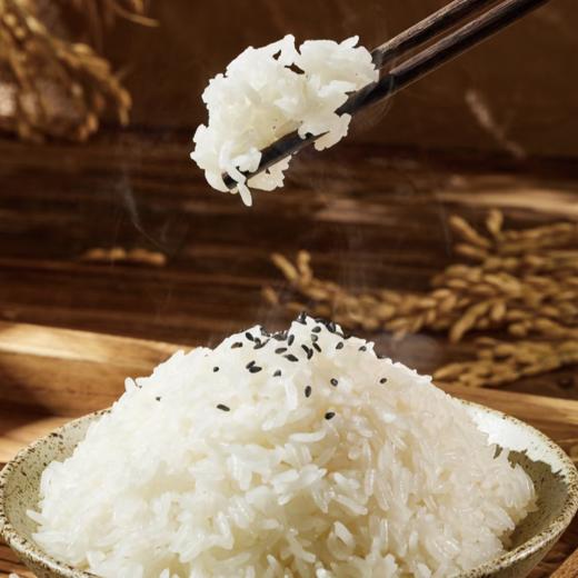 嫩江小蠡农 长粒香米5kg袋装 精品 商品图3