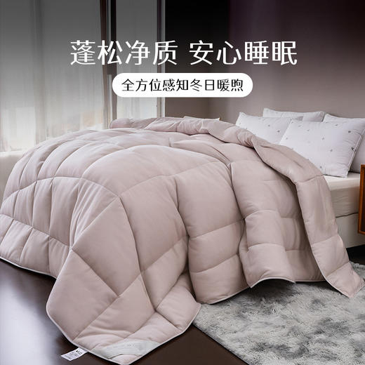 雅芳婷蒂克白鹅绒被蓄热保暖冬季被子被芯鹅绒冬被分区锁温羽绒被 商品图7