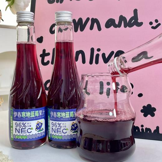 忠芝NFC寒地蓝莓汁300ml 商品图1