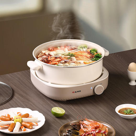 尚朋堂分体式涮火锅_SPT-HG4013A-M32 伊斯顿棕 商品图5
