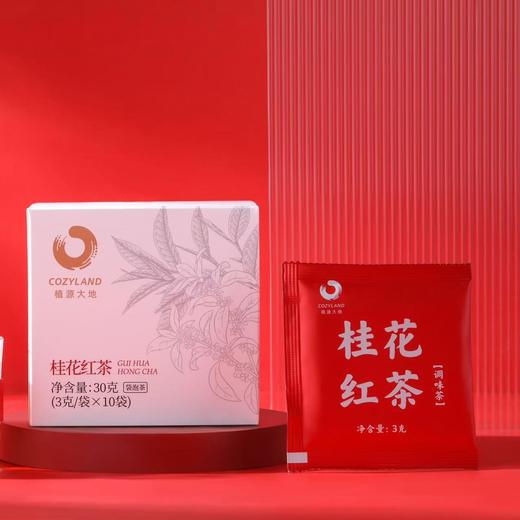 混合优惠装三盒 共30袋 「福鼎白茶+陈皮白茶+桂花红茶」 一盏好茶 便携 商品图5