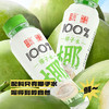 【双钱严选】双钱椰子水350ml*3瓶/6瓶/12瓶100%纯椰子水饮料 商品缩略图2