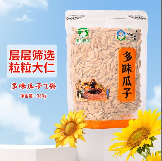 聚创世家原味瓜子-380g 商品图4