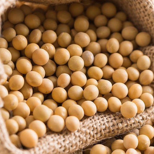 卡宴五谷丰登杂粮礼盒2500g 商品图3