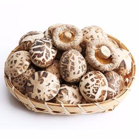 【元旦好礼】圣臻小花菇250g/木耳250g（全国包邮，部分地区除外）