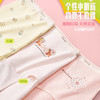 【3条】少女棉内裤三角裤女底裤【CSK24316】 商品缩略图1